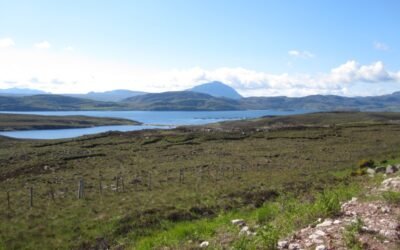 Day 6 – 7 June – Durness to Lairg