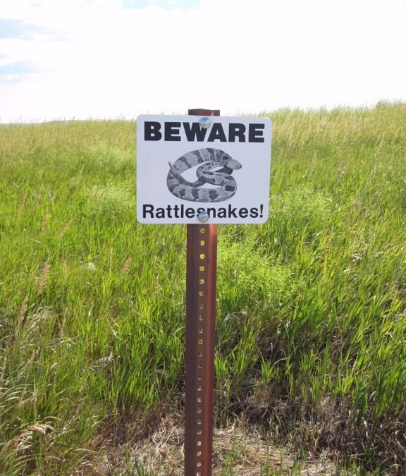 Day 24 – 13th July – Wall to Kadoka