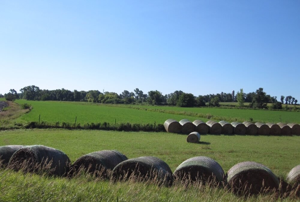 Day 29 – 18th July – Sioux Falls to Worthington, Minnesota