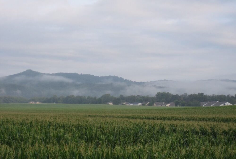 Day 33 – 22nd July – La Crosse to Mauston