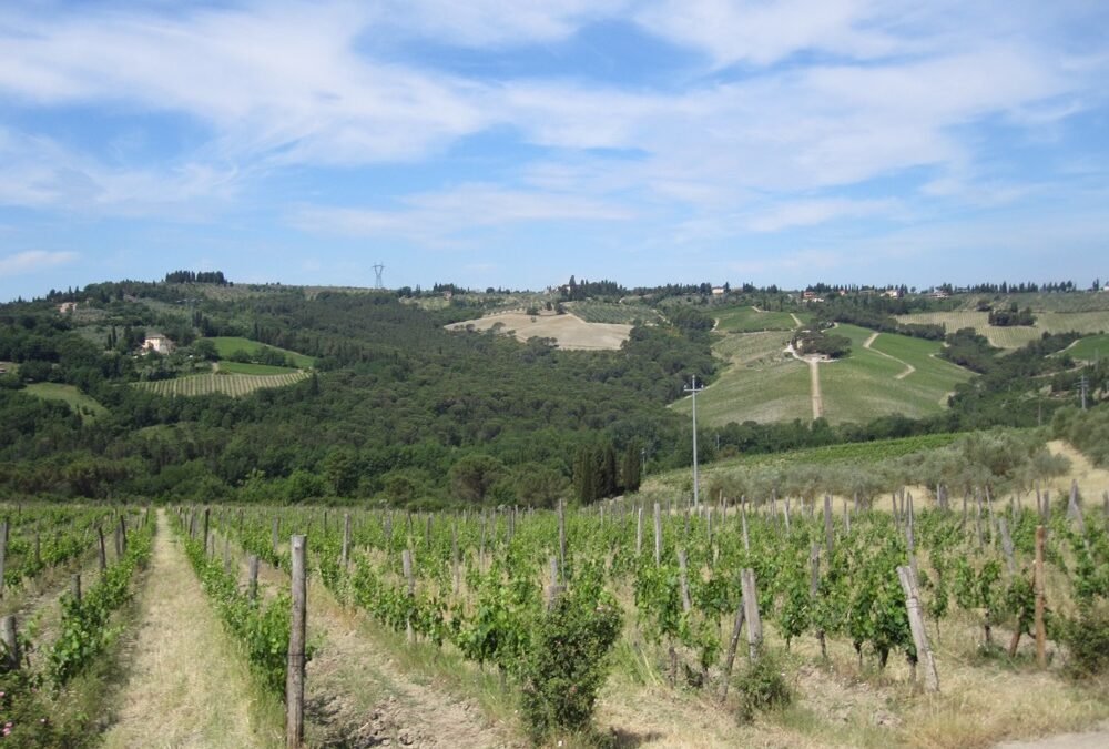 Day 6 – Florence to Siena