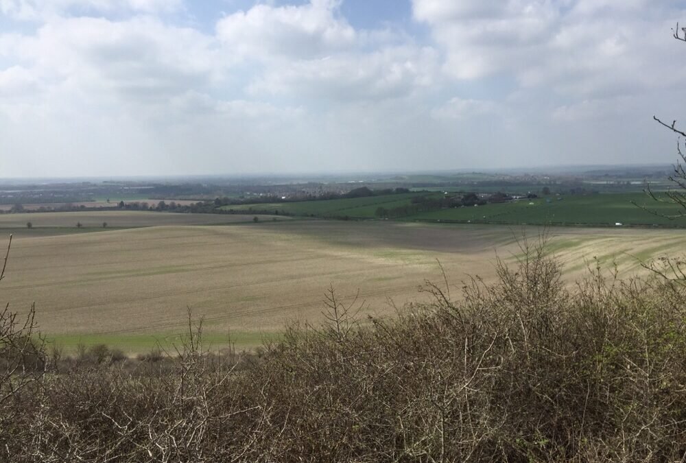 Spring is finally here!