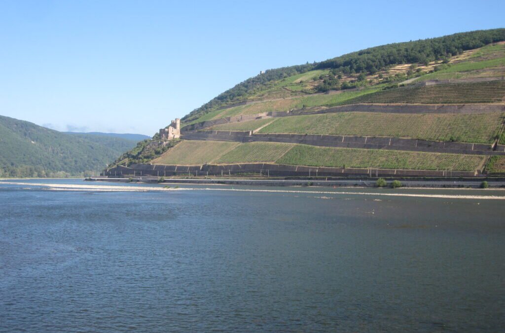 Day 4 – 1 July 2026 – Bingen to Ladenburg.