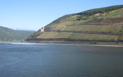 Day 4 – 1 July 2026 – Bingen to Ladenburg.